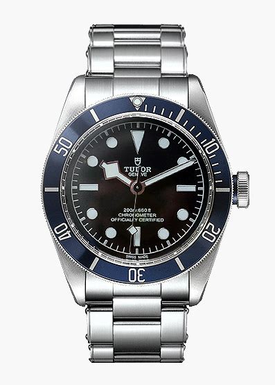 tudor black bay preisentwicklung